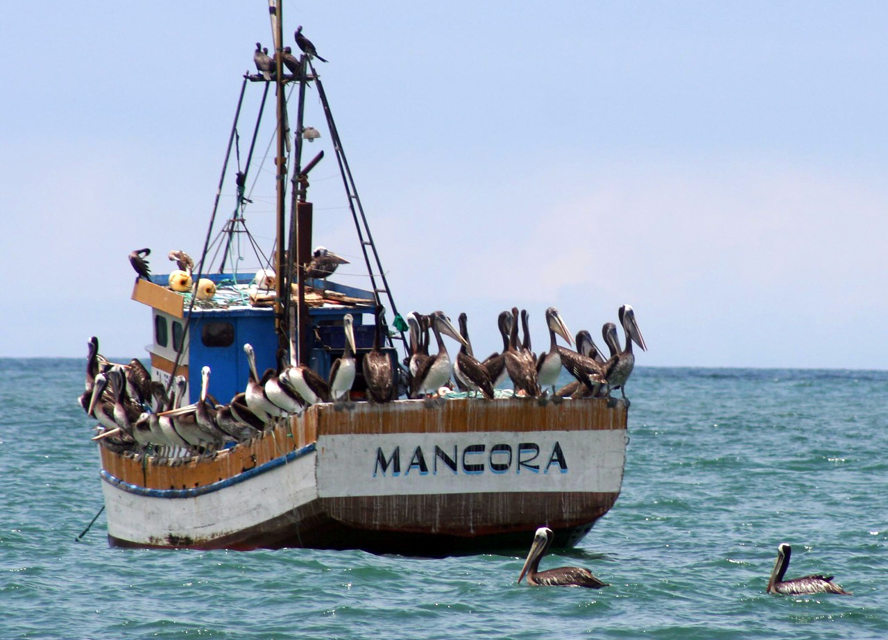 A fishing boat at Mancora