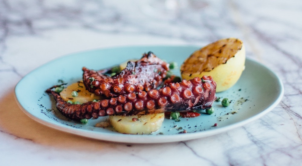 Plated dish of octopus