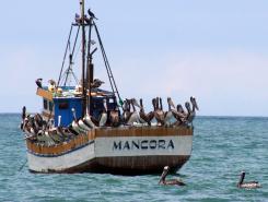 A fishing boat at Mancora