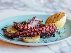 Plated dish of octopus